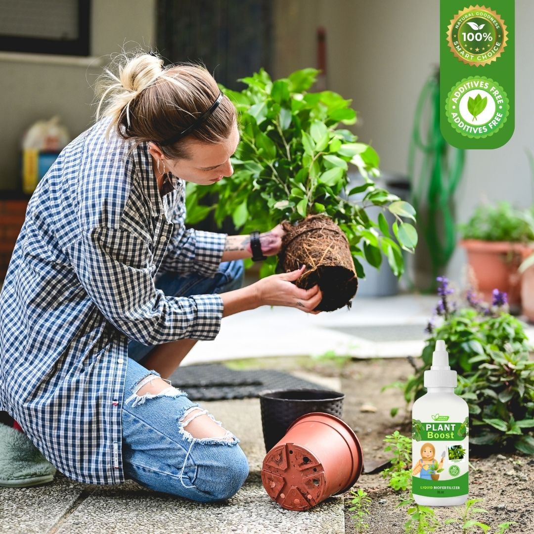 Organic Plant Booster (Pack of 4)